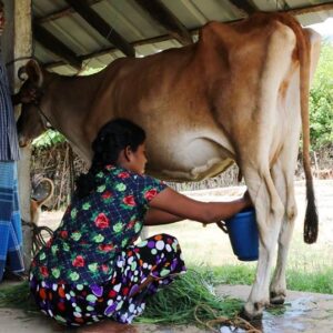 Education & Innovation